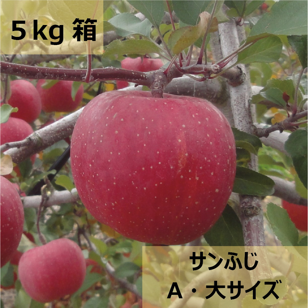 サンふじ 5kg箱 | はたき農園